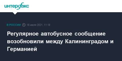 Регулярное автобусное сообщение возобновили между Калининградом и Германией - interfax.ru - Москва - Россия - Германия - Калининград - Финляндия - Калининградская обл.