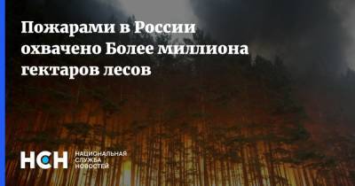 Пожарами в России охвачено Более миллиона гектаров лесов - nsn.fm - Россия - респ. Саха - Чукотка