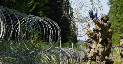 Литовская армия проведет учения на границе с Беларусью с союзниками по НАТО - rus.delfi.lv - Белоруссия - Германия - Литва - Латвия