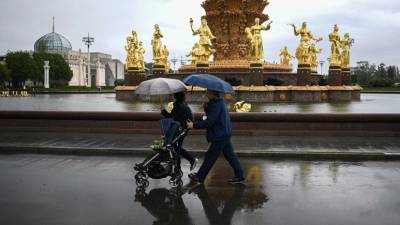 Роман Вильфанд - В МЧС предупредили о грозе и шквалистом ветре в Москве 16 июля - russian.rt.com - Москва - Россия - Московская обл.