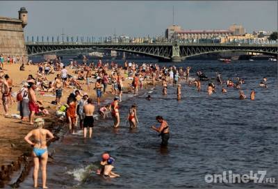 Жители Петербурга после купания жалуются на зуд, вызванный личинками - ivbg.ru - Украина - Петербурга - Санкт-Петербург