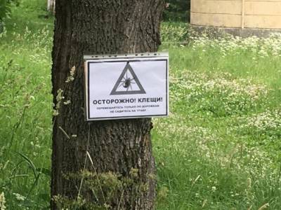 С начала клещевого сезона в Петербурге энцефалитом заболели почти два десятка человек - rosbalt.ru - Санкт-Петербург - Кировск - На