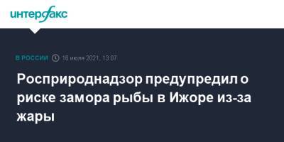 Росприроднадзор предупредил о риске замора рыбы в Ижоре из-за жары - interfax.ru - Москва - Ленинградская обл. - Петербург