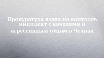 Прокуратура взяла на контроль инцидент с качелями и агрессивным отцом в Челнах - chelny-izvest.ru - респ. Татарстан - Набережные Челны