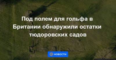 Под полем для гольфа в Британии обнаружили остатки тюдоровских садов - news.mail.ru - Англия