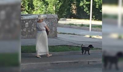 В Уфе 51-летняя дама с собачкой на прогулках промышляла наркозакладками - mkset.ru - Башкирия - Челябинская обл. - Уфа - Свердловская обл. - Оренбургская обл.