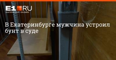 Александр Иванов - В Екатеринбурге мужчина устроил бунт в суде - e1.ru - Россия - Екатеринбург