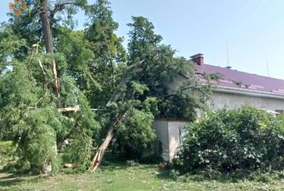 Ураган в Закарпатье оставил без крыш 32 дома и повалил 19 деревьев - kp.ua - Украина - район Береговский - Закарпатская обл.
