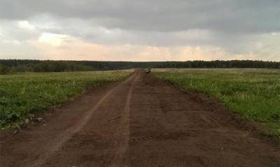 Денис Шмыгаль - В Украине за 15 дней заключено 774 сделки купли-продажи земли - capital.ua - Украина