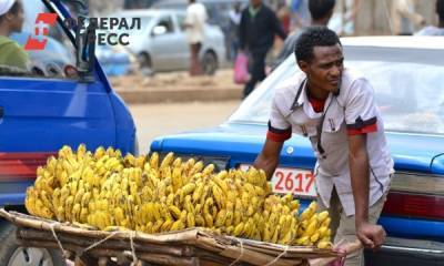 Дмитрий Леонов - Перечислены причины роста цен на бананы в России - fedpress.ru - Москва - Россия