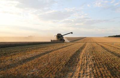 Украинские аграрии намолотили 5,5 млн т зерна - agroportal.ua - Украина