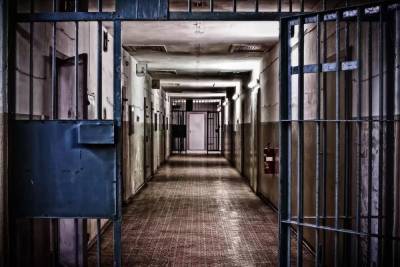 Заключенный в колонии в Сухобезводном укусил надзирателя, желавшего заглянуть в тумбочку - vgoroden.ru - Россия - Нижегородская обл. - Следственный Комитет
