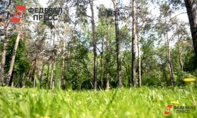 Сотрудники «Башнефти» высадили 3,4 млн деревьев - fedpress.ru - Башкирия - Уфа - Тюменская обл.