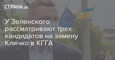 Виталий Кличко - Артур Палатный - У Зеленского рассматривают трех кандидатов на замену Кличко в КГГА - strana.ua - Украина - Киев - Кличко