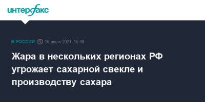 Жара в нескольких регионах РФ угрожает сахарной свекле и производству сахара - interfax.ru - Москва - Россия