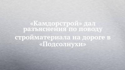 Андрей Филиппов - «Камдорстрой» дал разъяснения по поводу стройматериала на дороге в «Подсолнухи» - chelny-izvest.ru