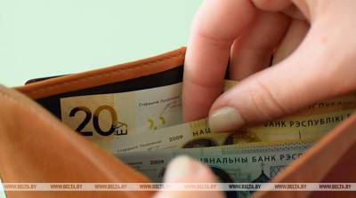 В Беларуси более 28% работников получают зарплату Br1-1,5 тыс. - belta.by - Белоруссия - Минск