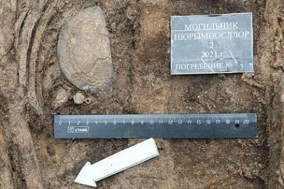 Археологи на Ямале собрали большую коллекцию артефактов возрастом 500 лет - lenta.ru - Салехард