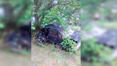 В Воронежской области в ДТП погиб уснувший за рулём водитель - vestivrn.ru - Воронежская обл. - Белгород - Павловск