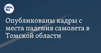 Опубликованы кадры с места падения самолета в Томской области. Видео - ura.news - Россия - Томская обл.