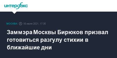 Петр Бирюков - Заммэра Москвы Бирюков призвал готовиться разгулу стихии в ближайшие дни - interfax.ru - Москва