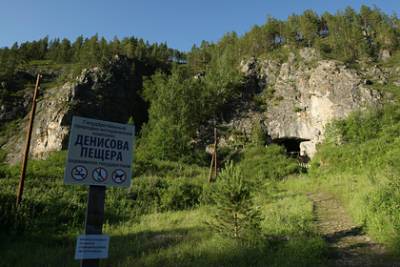 На Алтае построят туркластер с палеопарком - lenta.ru - Алтайский край - респ. Алтай