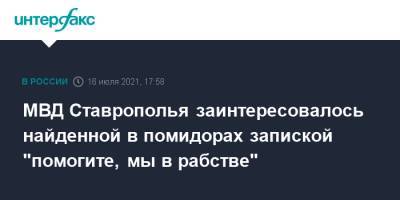 МВД Ставрополья заинтересовалось найденной в помидорах запиской "помогите, мы в рабстве" - interfax.ru - Москва - Россия - Новосибирск - Ставрополье