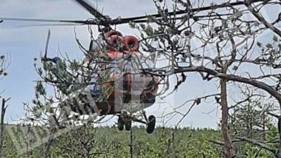 Вертолет с пассажирами аварийно севшего Ан-28 прибыл в Томск - iz.ru - Израиль - Томск - Томская обл.