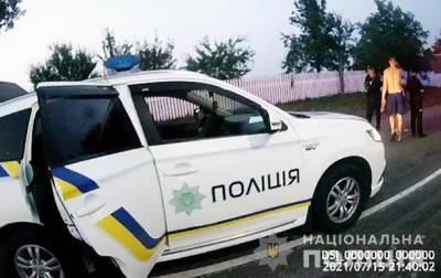 На Житомирщине пьяный водитель застрял в "пробке" коров - korrespondent.net - Украина - Житомирская обл.