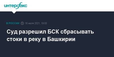Светлана Радионова - Суд разрешил БСК сбрасывать стоки в реку в Башкирии - interfax.ru - Москва - Башкирия