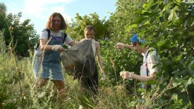 Пензенские волонтеры очистили от мусора берег Суры - penzainform.ru