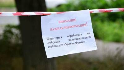 Симферополь объявил войну амброзии: обработаны улицы и парки - crimea.ria.ru - Крым - Симферополь