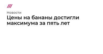Цены на бананы достигли максимума за пять лет - tvrain.ru - Россия - Китай - США - Эквадор