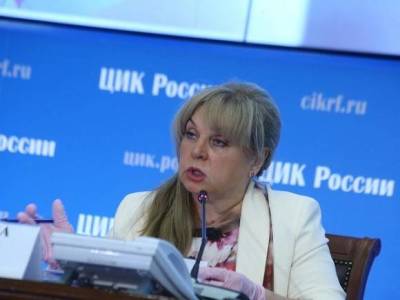 Элла Памфилова - «Немножко надо потрудиться»: Памфилова рассказала, при каких условиях будет позволено наблюдать за ходом голосования - rosbalt.ru - Россия