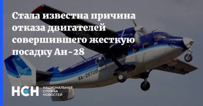 Роман Гусаров - Стала известна причина отказа двигателей совершившего жесткую посадку Ан-28 - nsn.fm - Томск - Томская обл.