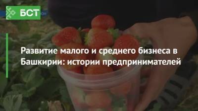Развитие малого и среднего бизнеса в Башкирии: истории предпринимателей - bash.news - Башкирия