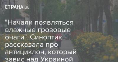Наталья Диденко - "Начали появляться влажные грозовые очаги". Синоптик рассказала про антициклон, который завис над Украиной - strana.ua - Украина