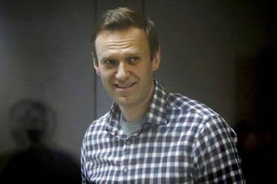 Алексей Навальный - Александр Шульгин - В Германии назвали несоответствия в докладе по Навальному «технической ошибкой» - lenta.ru - Россия - Германия