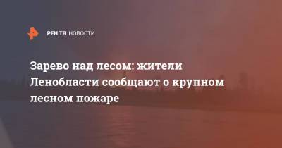 Зарево над лесом: жители Ленобласти сообщают о крупном лесном пожаре - ren.tv - Ленинградская обл.