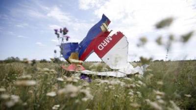 Жозеп Боррель - Боррель обратился к России в связи с катастрофой рейса MH17 - lenta.ua - Россия - Украина - ДНР - Голландия