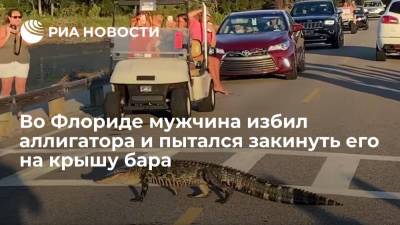 Власти Флориды задержали мужчину, который хотел закинуть на крышу бара избитого аллигатора - ria.ru - Вашингтон - шт.Флорида - Конго