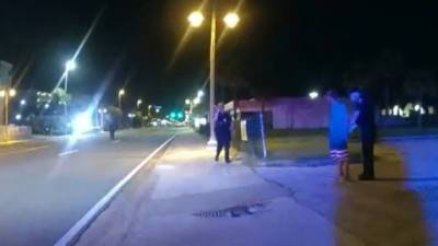 Во Флориде арестовали мужчину, укравшего и избившего аллигатора - vesti.ru - шт.Флорида