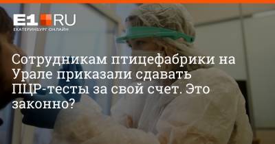 Артем Устюжанин - Сотрудникам птицефабрики на Урале приказали сдавать ПЦР-тесты за свой счет. Это законно? - e1.ru - Екатеринбург