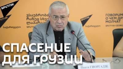Гиоргадзе: природные ресурсы спасут экономику Грузии - sputnik-georgia.ru - Грузия