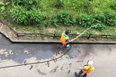 С июня в Петербурге израсходовали 35 тысяч кубометров воды на полив цветов - spb.mk.ru - Санкт-Петербург