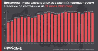 За сутки в России выявили 25116 случаев COVID-19 - profile.ru - Москва - Россия - Санкт-Петербург - Московская обл. - Магаданская обл. - Чукотка - окр.Ненецкий