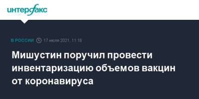 Михаил Мишустин - Мишустин поручил провести инвентаризацию объемов вакцин от коронавируса - interfax.ru - Москва - Россия