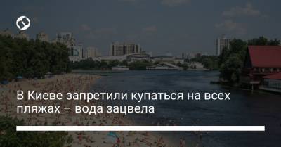В Киеве запретили купаться на всех пляжах – вода зацвела - liga.net - Украина - Киев
