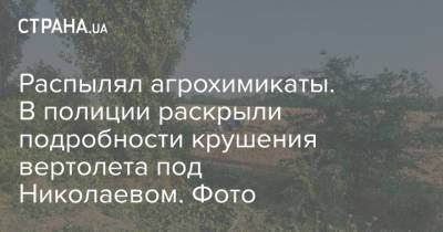 Распылял агрохимикаты. В полиции раскрыли подробности крушения вертолета под Николаевом. Фото - strana.ua - Украина - Николаев - Николаевская обл.