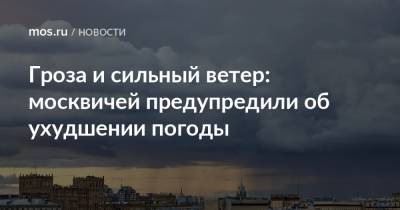 Гроза и сильный ветер: москвичей предупредили об ухудшении погоды - mos.ru - Москва